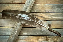 Laden Sie das Bild in den Galerie-Viewer, Räucherfeder Wurzelkraft