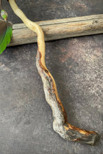 Laden Sie das Bild in den Galerie-Viewer, Spirit Stick Wurzelkraft