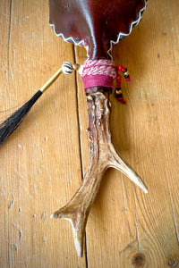 Rassel Teosinte